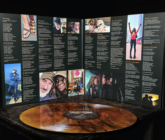 Chemistry vinyl album — translucent LP in gatefold sleeve